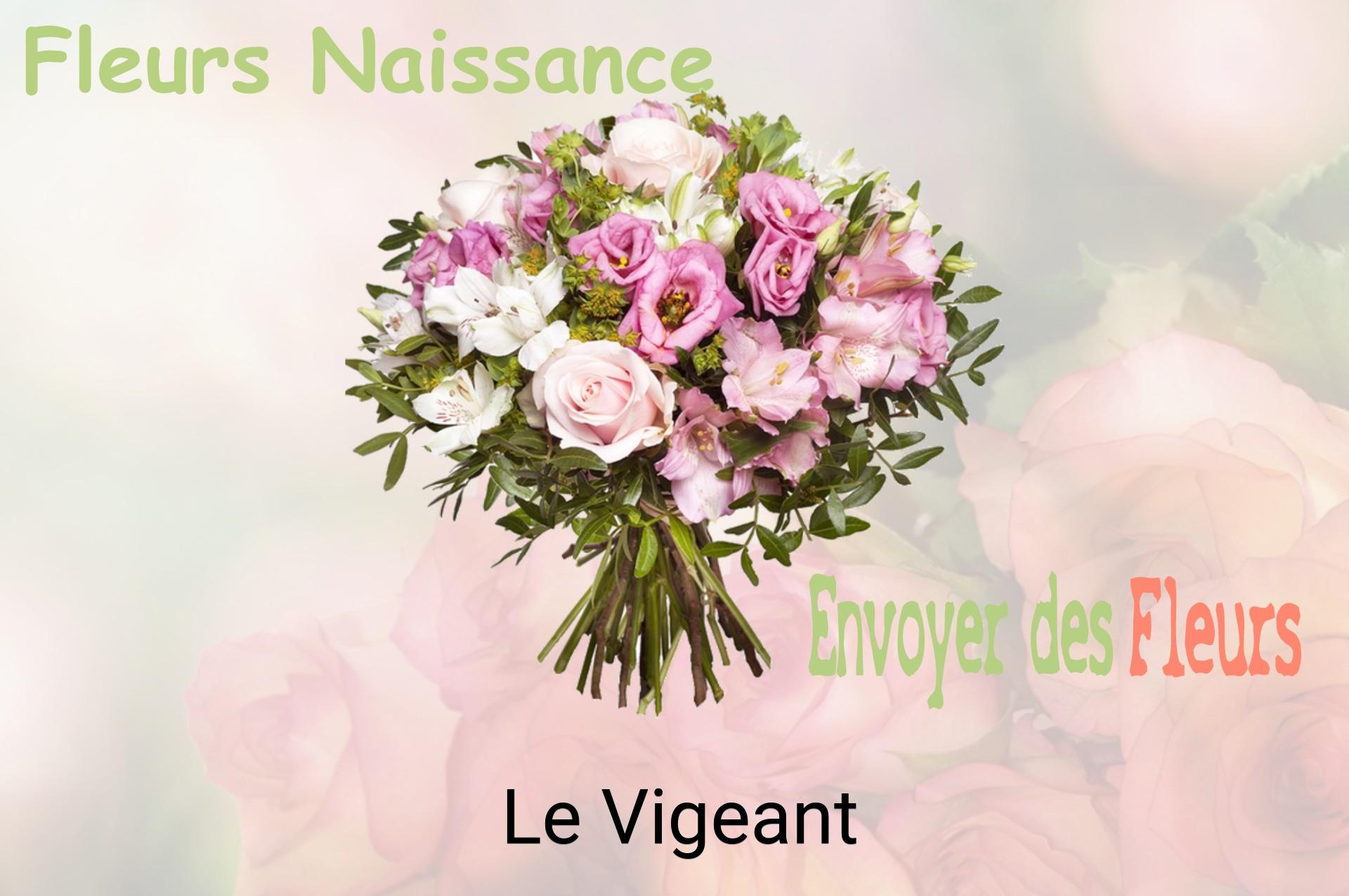 Bouquet de fleurs de naissance livré à Le Vigeant